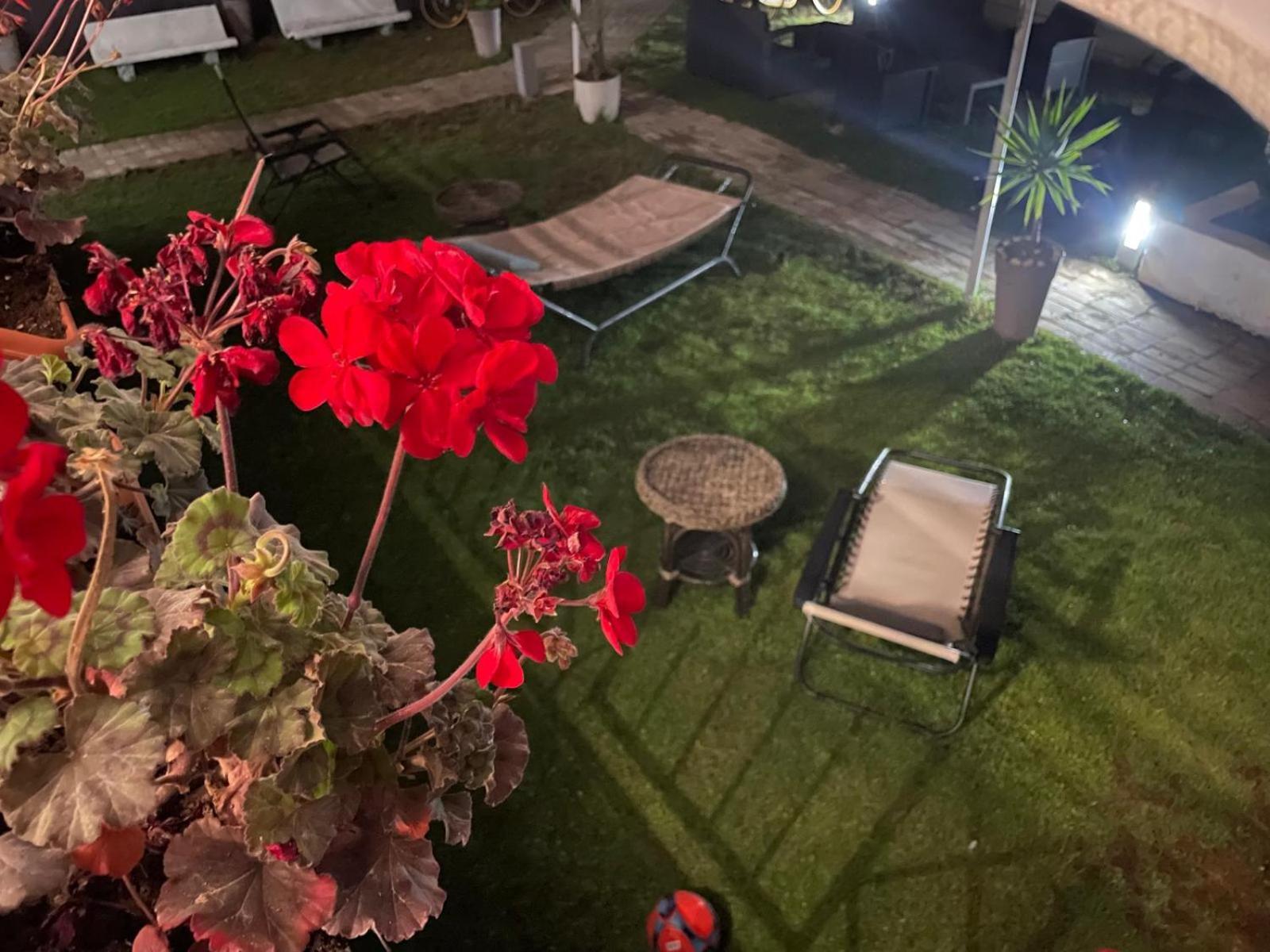 Solaris Paestum Bed and Breakfast Exteriör bild